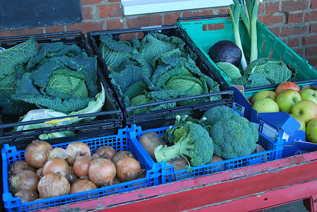 Fresh Vegetables