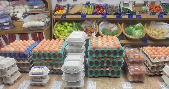 Eggs
